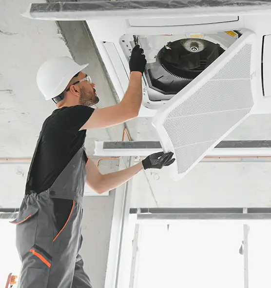 About Air Duct Rodent Removal in Lancaster, OH