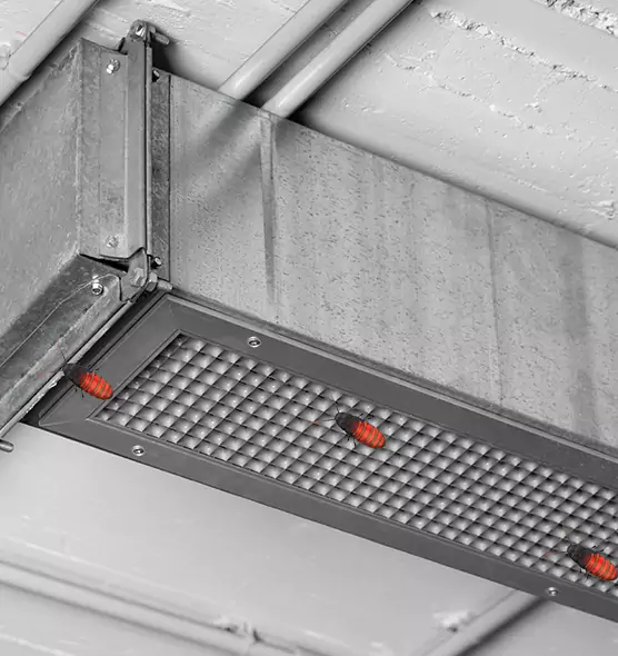 Affordable Insect Removal from Air Ducts in Lancaster, OH